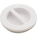 Plug, Hayward, Flush Inlet Fitting, 1-1/2" : SP1022B