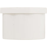 Reducer, 2" Spigot x 3/4" Female Pipe Thread : 438-248