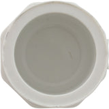 Plug, Lasco, 3/4" Spigot : 449-007