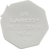Plug, Lasco, 3/4" Spigot : 449-007