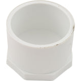 Plug, Lasco, 2" Spigot : 449-020