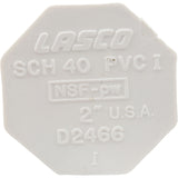 Plug, Lasco, 2" Spigot : 449-020