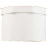 Plug, Lasco, 2" Spigot : 449-020