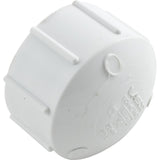 Cap, Lasco, 1-1/2" Female Pipe Thread : 448-015