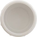 Plug, Lasco, 2-1/2" Male Pipe Thread : 450-025