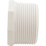 Plug, Lasco, 2-1/2" Male Pipe Thread : 450-025
