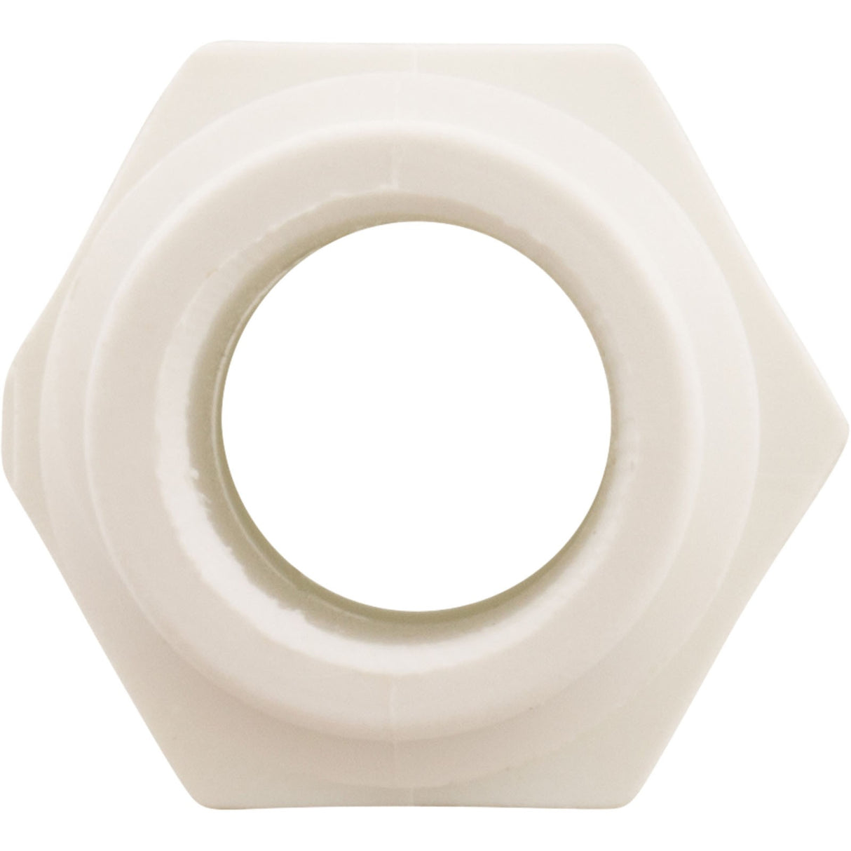 Probe Replacement Fitting, Rola-Chem ORP/PH, 1/2" : 550089