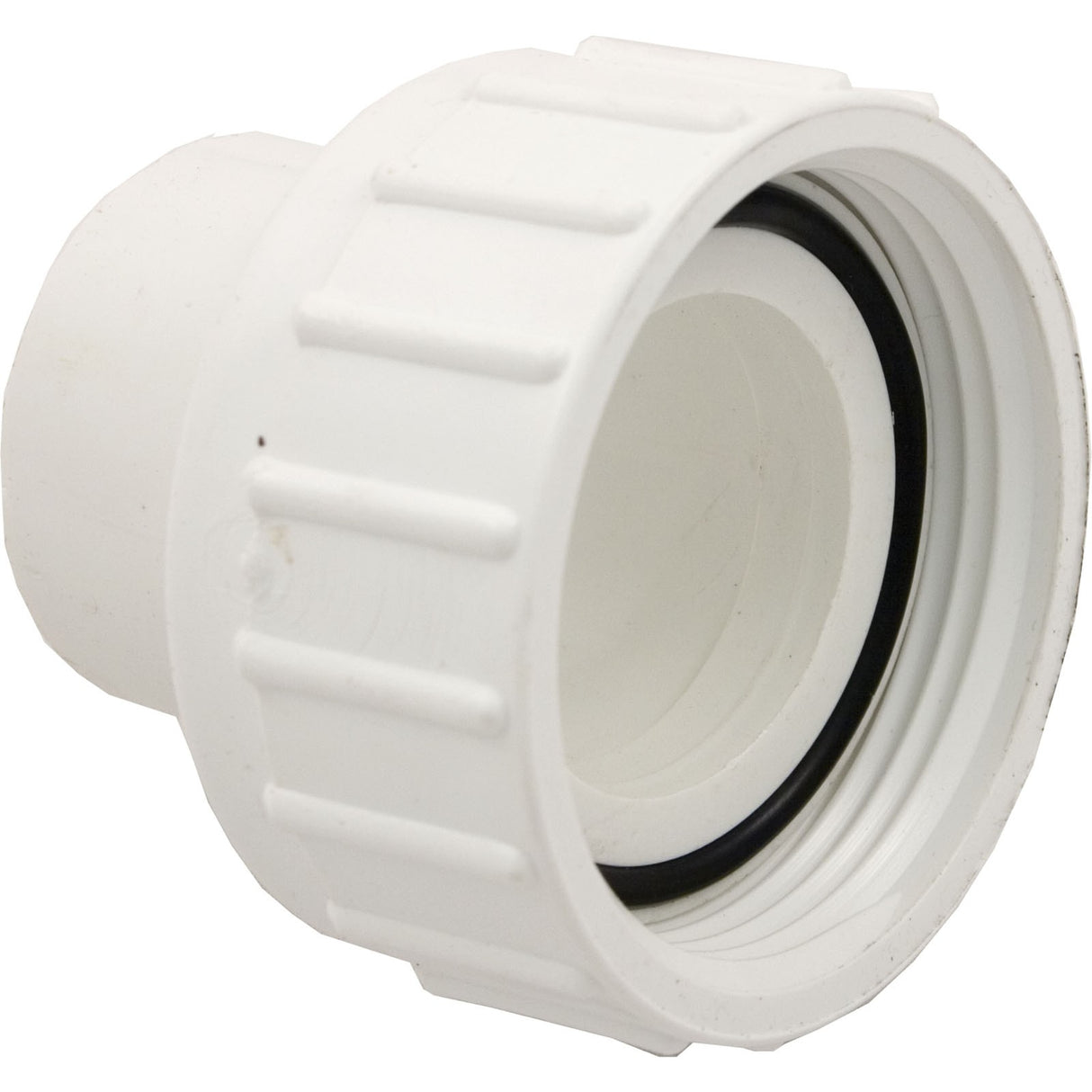Pump Union, 1-1/2" Female Buttress Thread x 1-1/2" Spigot : 400-4240