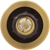 Flow Meter, Pentair, 2-16 gpm, 3/4" Nylon Thd End, Small Body : LDF359N