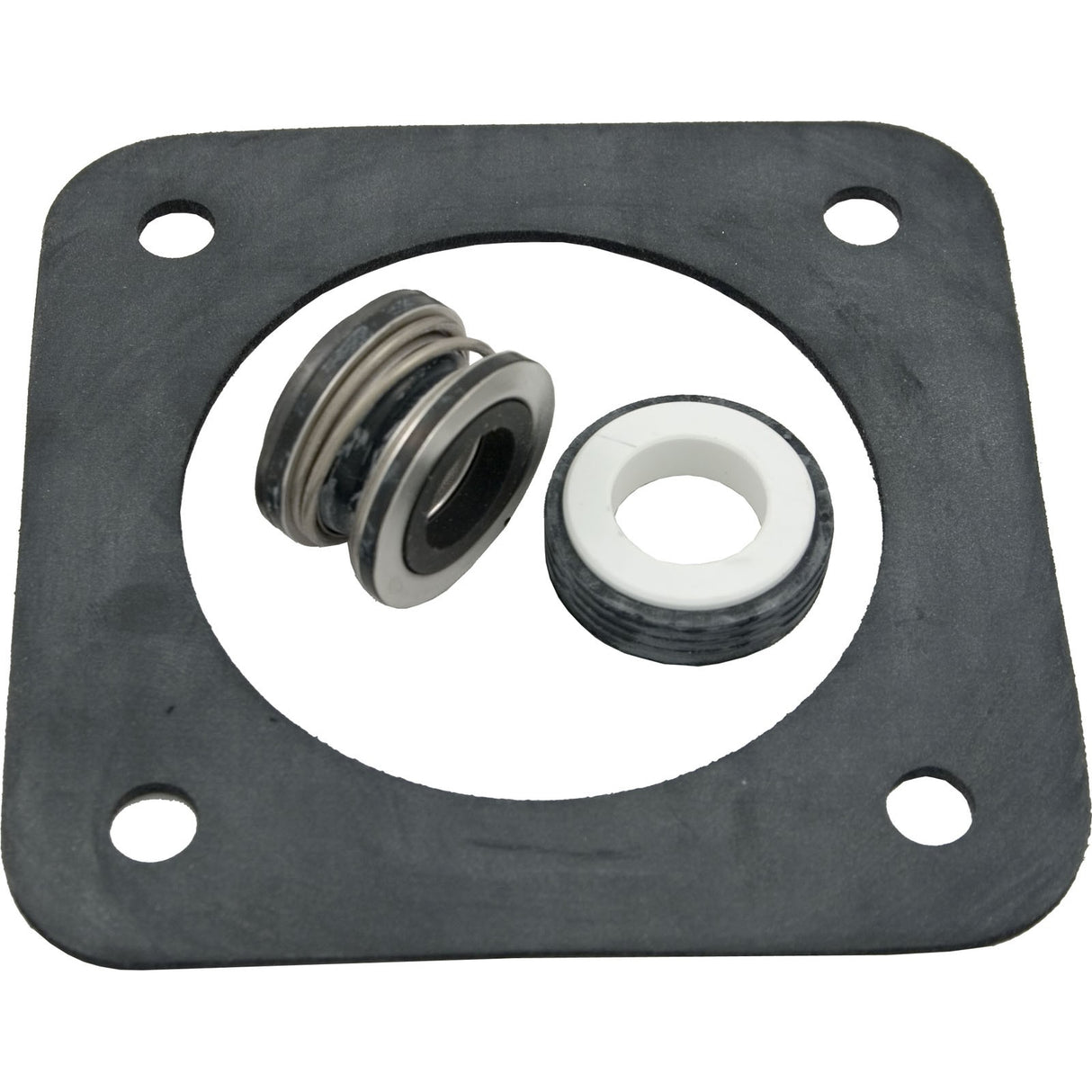 Seal Kit, Pentair Sta-Rite DuraGlas : PP1200