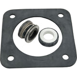 Seal Kit, Pentair Sta-Rite DuraGlas : PP1200