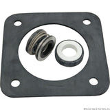 Seal Kit, Pentair Sta-Rite DuraGlas : PP1200