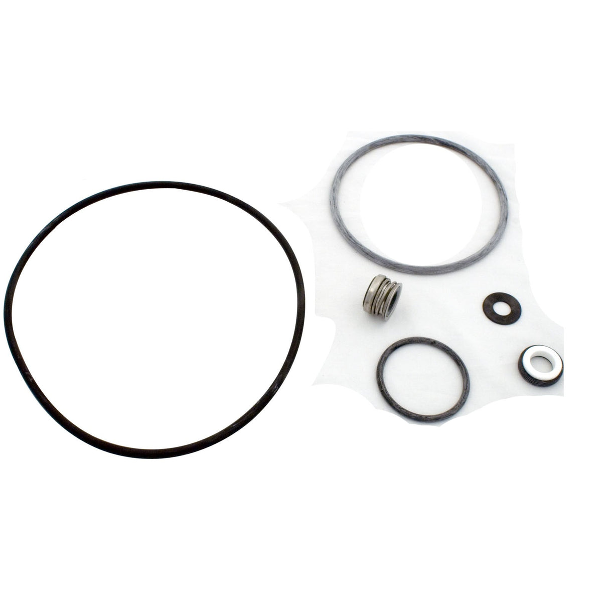 Seal Kit, Pentair Sta-Rite DuraGlas II : PP4200