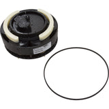Module, Paramount Water Valve, 2 Port, 4 Gear : 004-302-4400-00