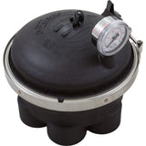 Water Valve, Paramount, 6 Port, 2", Black : 004-302-4184-03