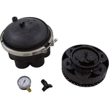 Water Valve, Paramount, 6 Port, 2", Black : 004-302-4184-03