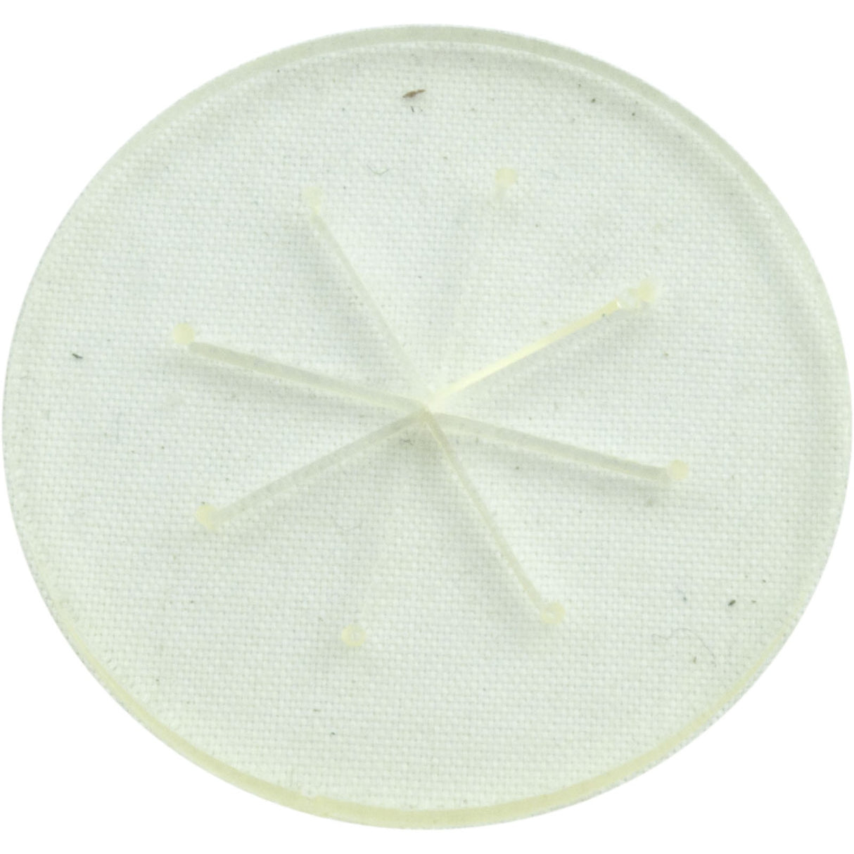 Bypass Disk, Zodiac Polaris 140 : 8-4605
