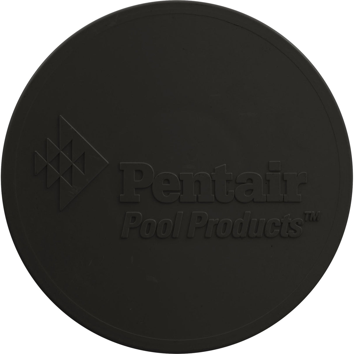 Disk Logo Pentair Blk : 510162