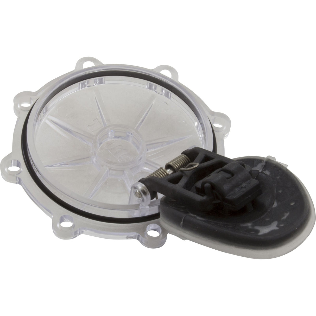 Rebuild Kit, Check Valve, Pentair CPVC 2" : 263042Z