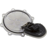 Rebuild Kit, Check Valve, Pentair CPVC 2" : 263042Z