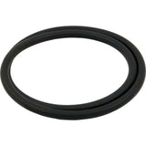 O-Ring, Sta-Rite Posi-Flo, Upper Tank Body, O-443 :