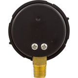 Pressure Gauge, Pentair, 1/4"mpt, 0-60psi, Bottom Mount, Adj Face : 190058Z
