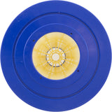 Cartridge 4 Pack, Pentair Clean & Clear Plus 520 : 179136