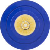 Cartridge 4 Pack, Pentair Clean & Clear Plus 520 : 179136