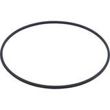 Tank Lid, Hayward C3020/C3025/DE3620, with Clamp Ring : DEX3620BTC - Hayward - 0610377106870 - PartsForSpas.com