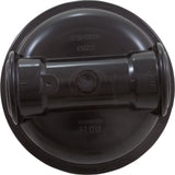 Tank Lid, Pentair Rainbow RDC, In-Line, 1-1/2"fpt, w/Valve : R172213C - Rainbow/Pentair - R172213C - PartsForSpas.com