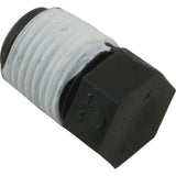 Plug, Pentair Rainbow High Sqft/Auto Feeder, 1/4"mpt : R172007 - Rainbow/Pentair - R172007 - PartsForSpas.com