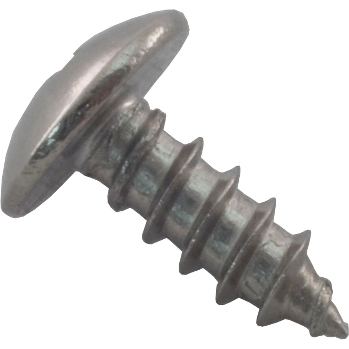 Safety Latch Screw, Pentair Rainbow RTL : R172375 - Rainbow/Pentair - 788379702045 - PartsForSpas.com