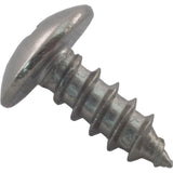Safety Latch Screw, Pentair Rainbow RTL : R172375 - Rainbow/Pentair - 788379702045 - PartsForSpas.com