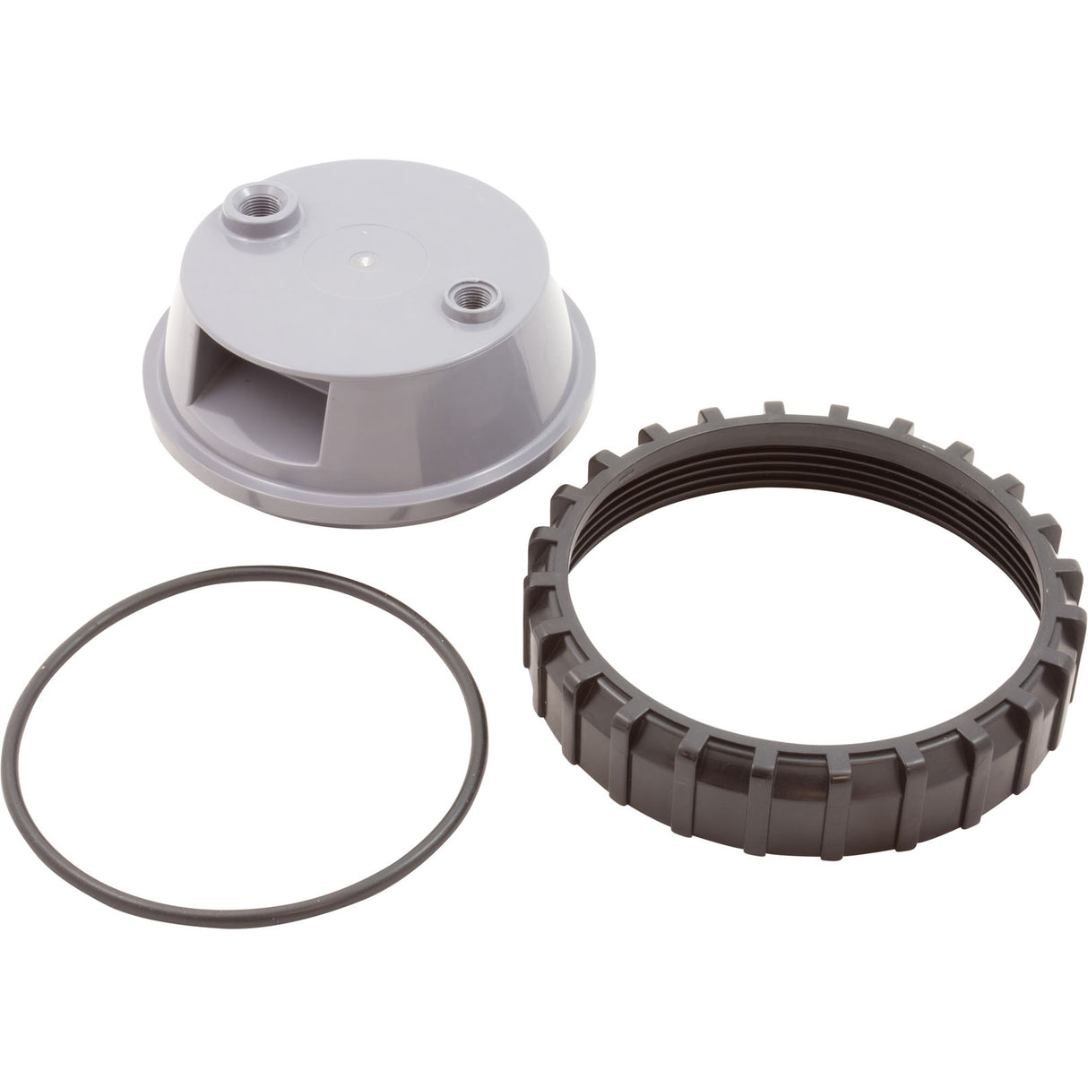 Cover Kit, Raypak Protege RPCFP, w/ O-Ring : 018245F - Raypak - 840891043294 - PartsForSpas.com