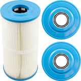 Cartridge, Raypak Protege RPCFP50 : 018240F