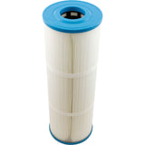 Cartridge, Raypak Protege RPCFP75 : 018241F