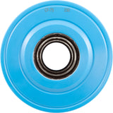 Cartridge, Raypak Protege RPCFP75 : 018241F