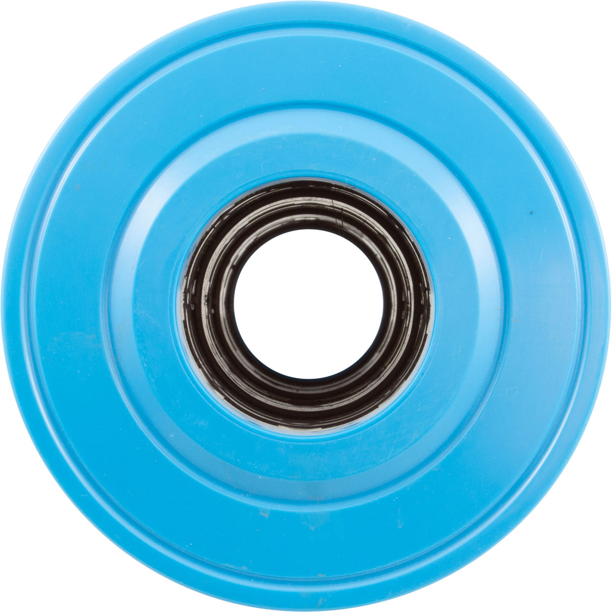 Cartridge, Raypak Protege RPCFP75 : 018241F