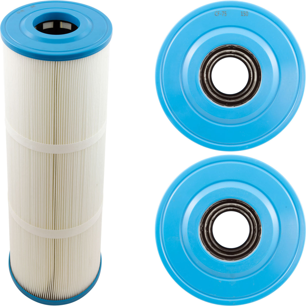 Cartridge, Raypak Protege RPCFP75 : 018241F