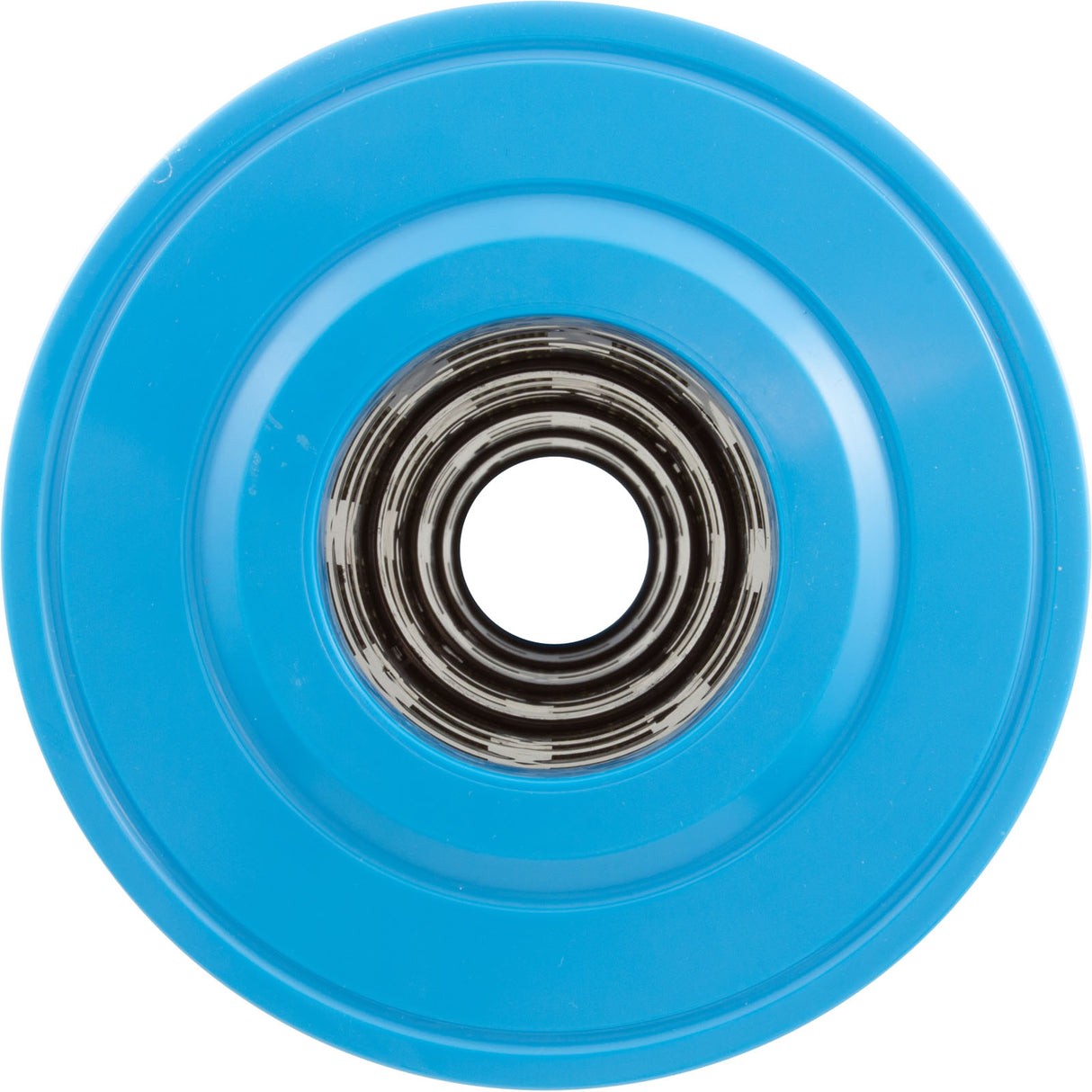 Cartridge, Raypak Protege RPCFP100 : 018242F