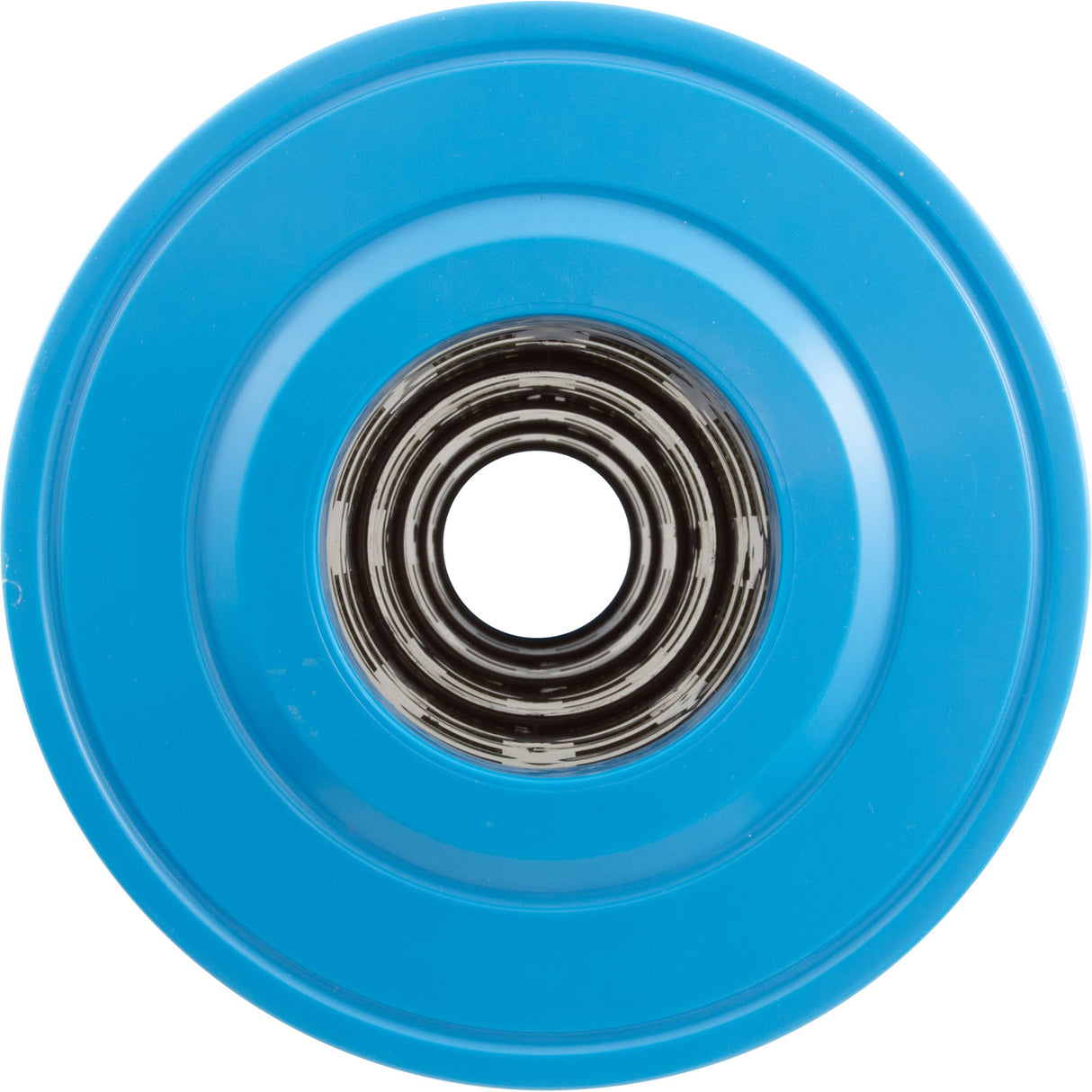 Cartridge, Raypak Protege RPCFP150/152 : 018243F - Raypak - 840891043355 - PartsForSpas.com