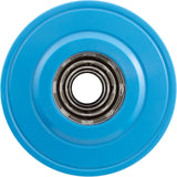 Cartridge, Raypak Protege RPCFP150/152 : 018243F - Raypak - 840891043355 - PartsForSpas.com