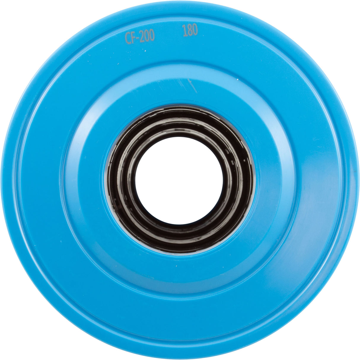 Cartridge, Raypak Protege RPCFP202 : 018244F