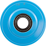Cartridge, Raypak Protege RPCFP202 : 018244F