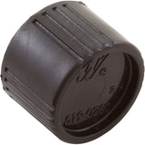 Drain Cap Assembly, Waterway Pro Clean Plus : 550-0260 - Waterway Plastics - 806105559333 - PartsForSpas.com