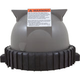 Tank Lid Assembly, Zodiac Jandy CS100/CS150 : R0461900 - Jandy/Laars/Zodiac - 052337039819 - PartsForSpas.com