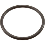 O-Ring, Speck ACF Cartridge Filter, Drain Plug : 7300055006
