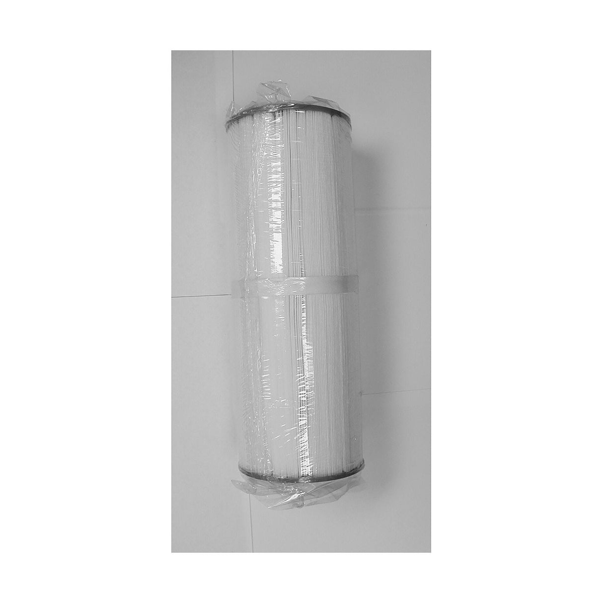 Filter Cartridge, 55 Sq Ft, Fits Rd Active Skim Filter : 12681