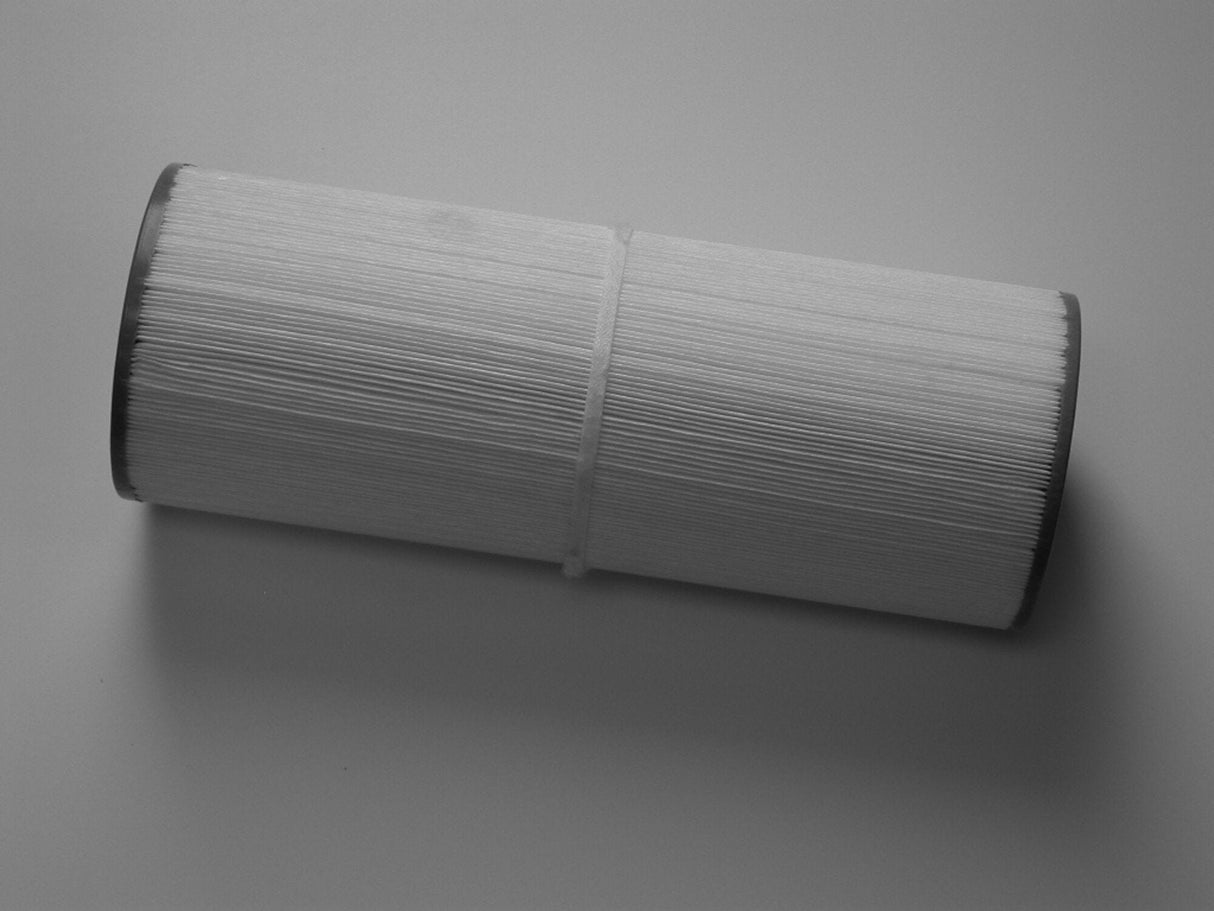 Filter Cartridge, 50 Sq Ft, 13 Inch, Drop In, Top Mount Skim : 817-5000