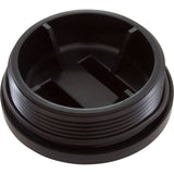 Plug-2" W/ O-Ring : 195830 - Pentair - 788379673994 - PartsForSpas.com
